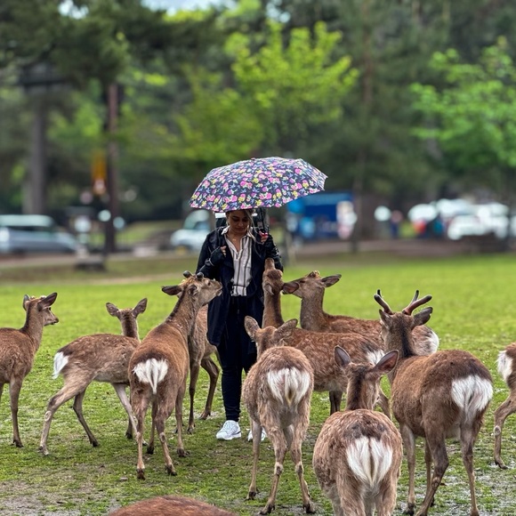 Meet your Posher: Roe - Picture 11 of 16